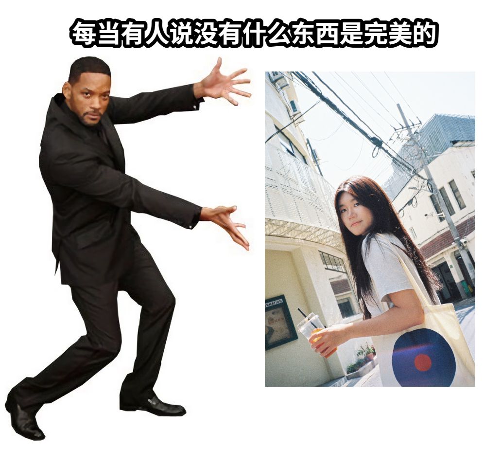 每当有人说没有什么东西是完美的