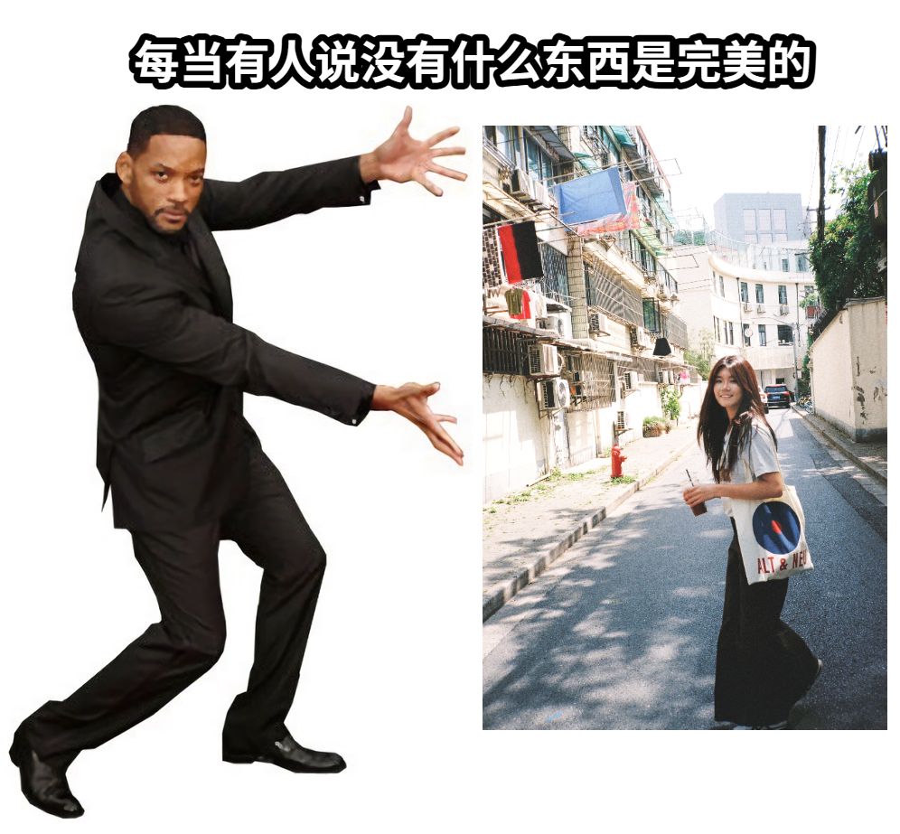 每当有人说没有什么东西是完美的