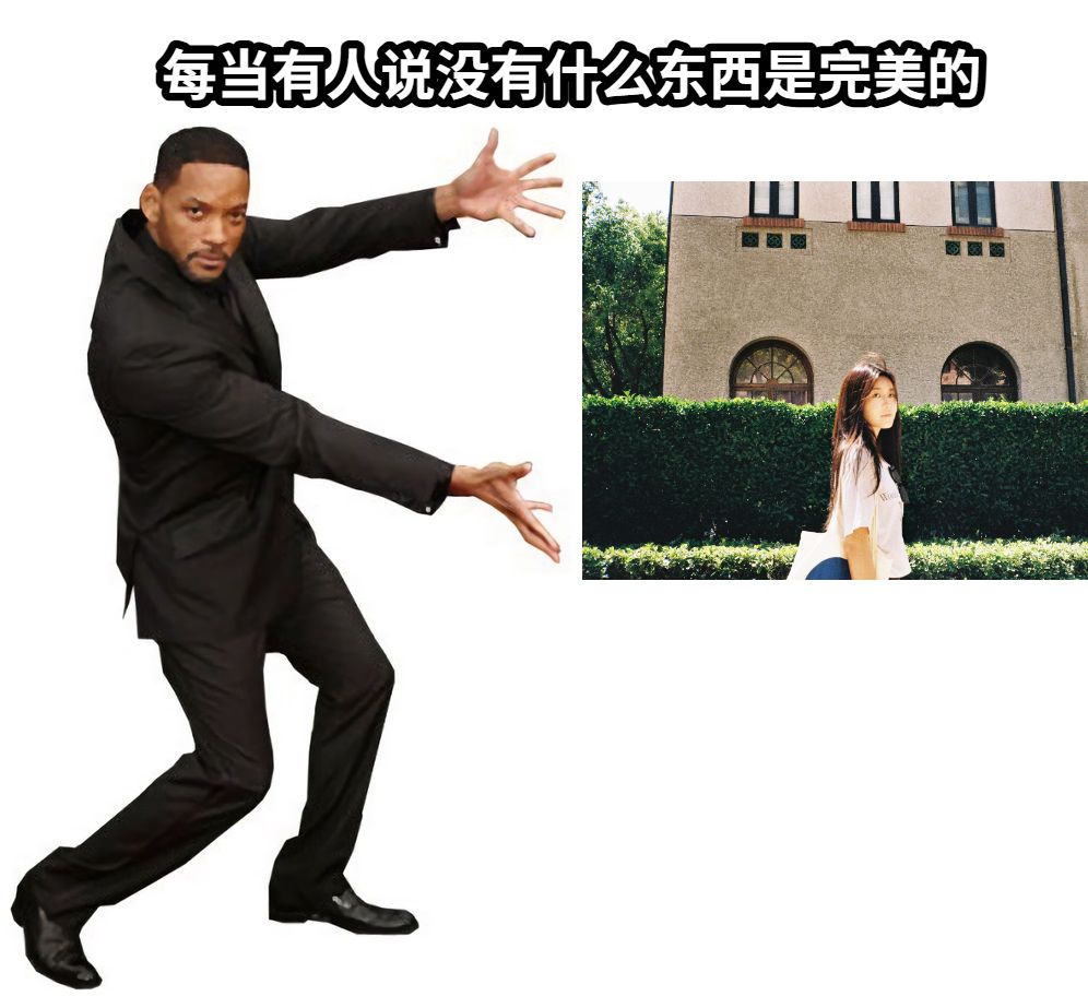 每当有人说没有什么东西是完美的