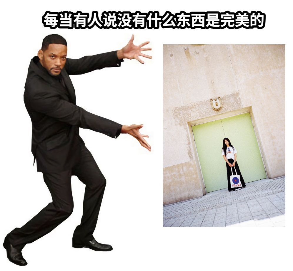 每当有人说没有什么东西是完美的