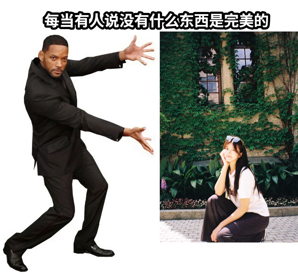 每当有人说没有什么东西是完美的