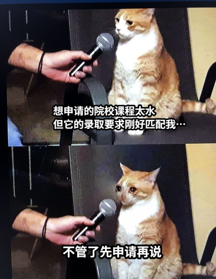 想申请的院校课程太水但它的录取要求刚好匹配我…不管了先申请再说