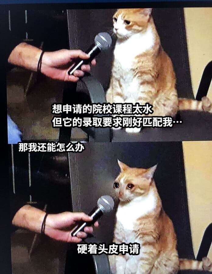 想申请的院校课程太水但它的录取要求刚好匹配我…那我还能怎么办硬着头皮申请