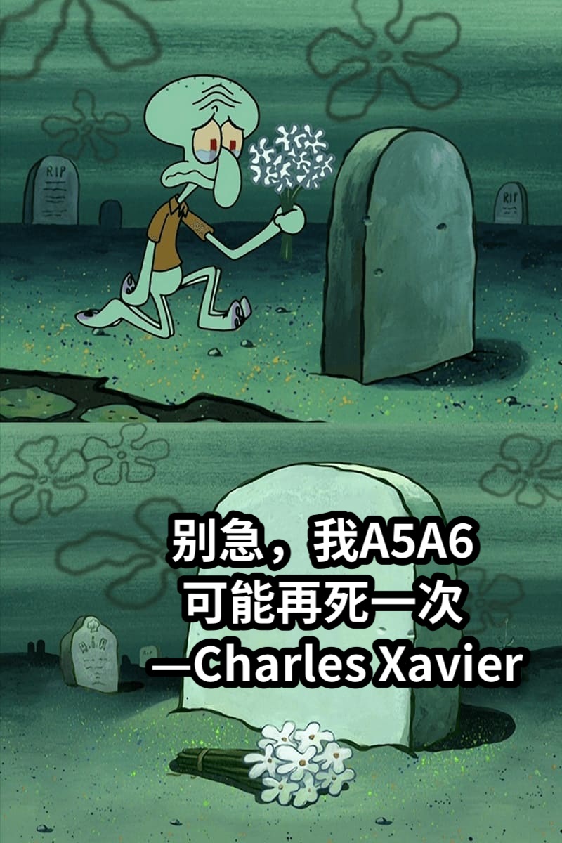   别急，我A5A6   可能再死一次—Charles Xavier