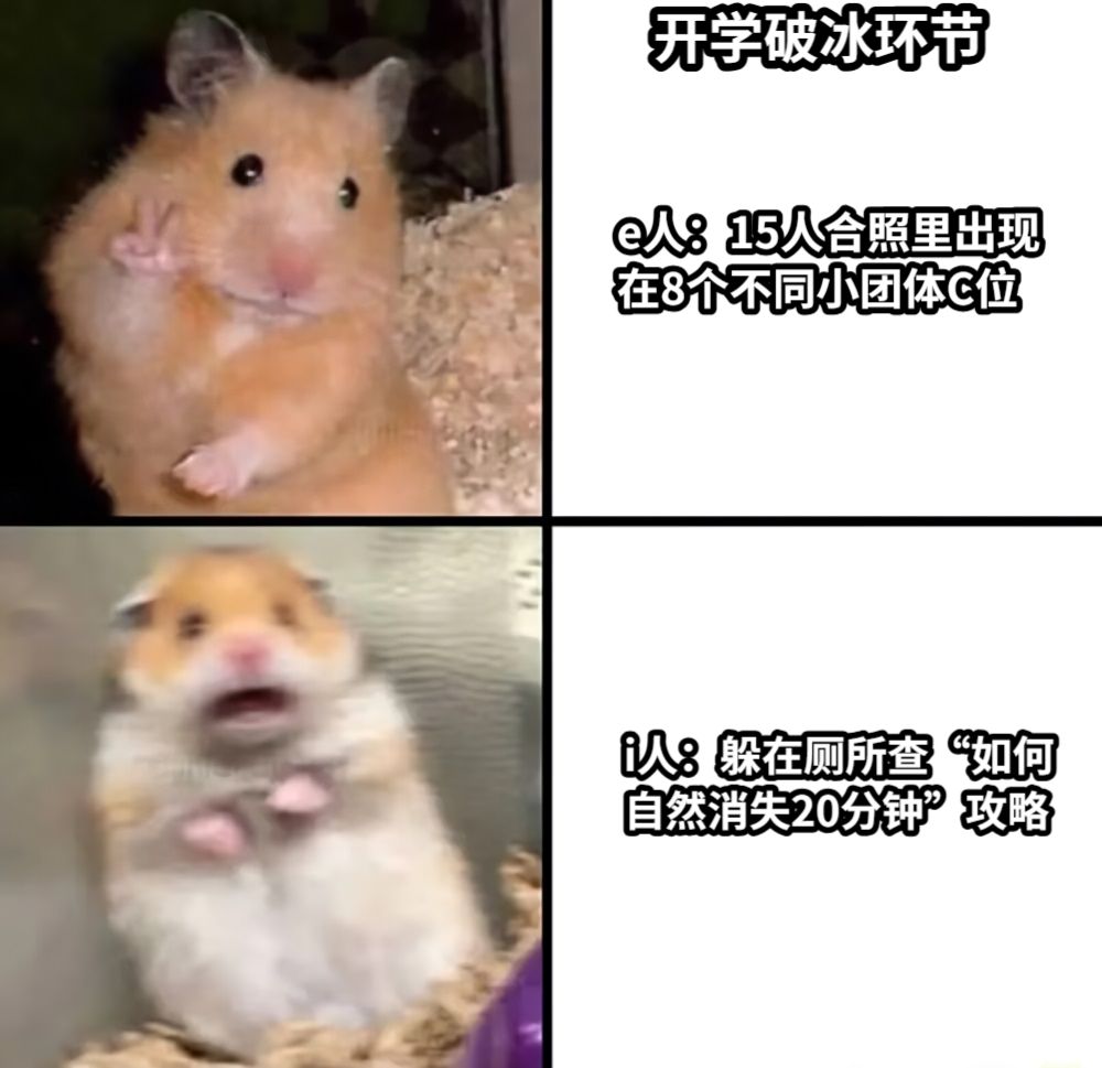 e人：15人合照里出现在8个不同小团体C位i人：躲在厕所查“如何自然消失20分钟”攻略开学破冰环节​