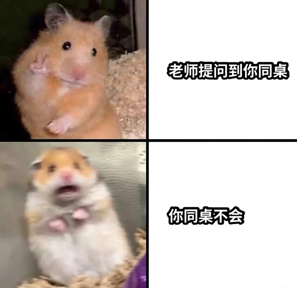 老师提问到你同桌你同桌不会