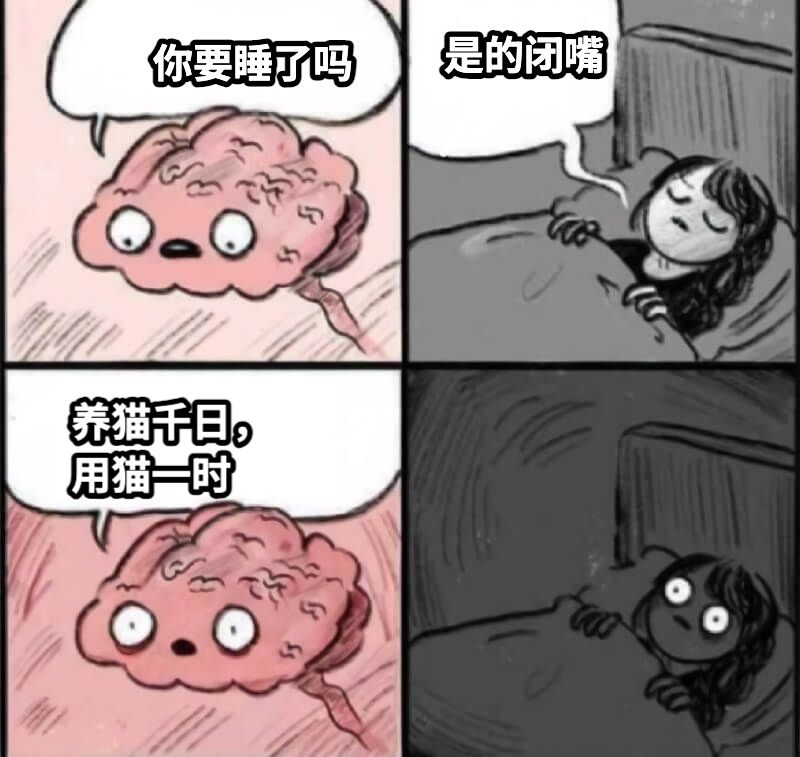 你要睡了吗是的闭嘴养猫千日，用猫一时
