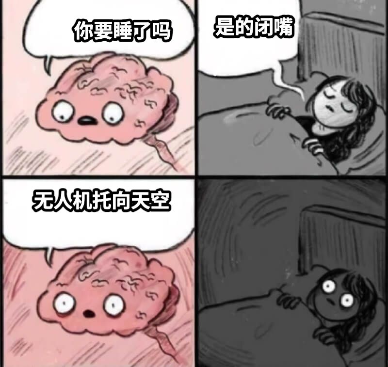 你要睡了吗是的闭嘴无人机托向天空