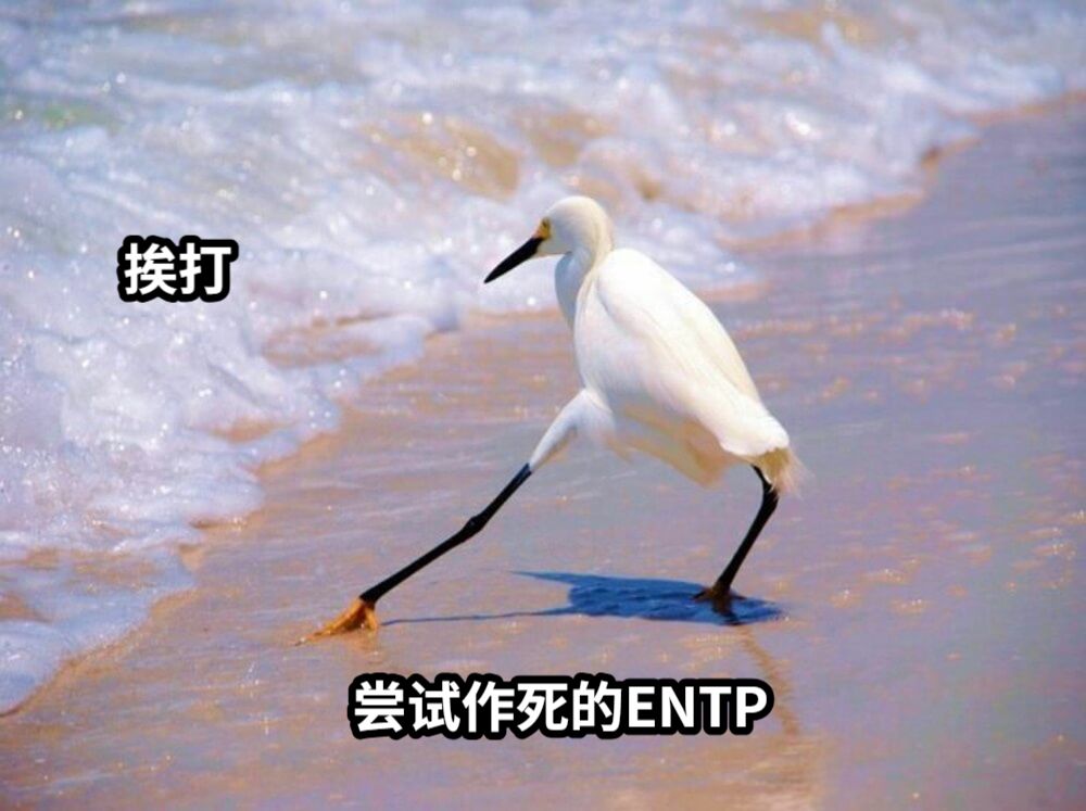 尝试作死的ENTP挨打