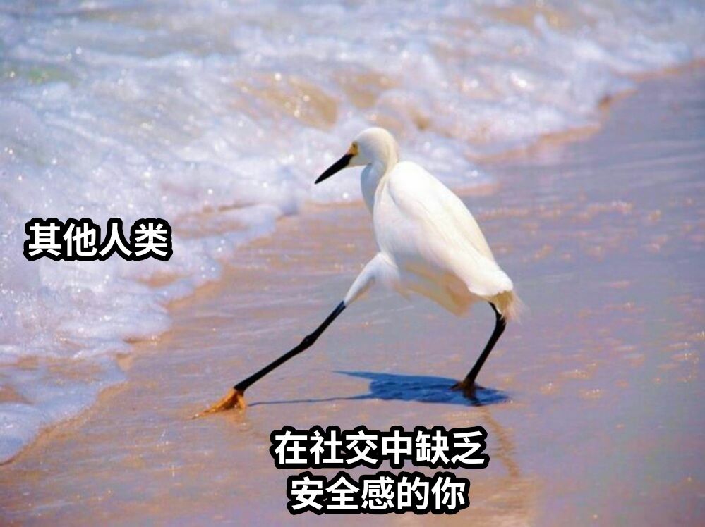 在社交中缺乏  安全感的你其他人类