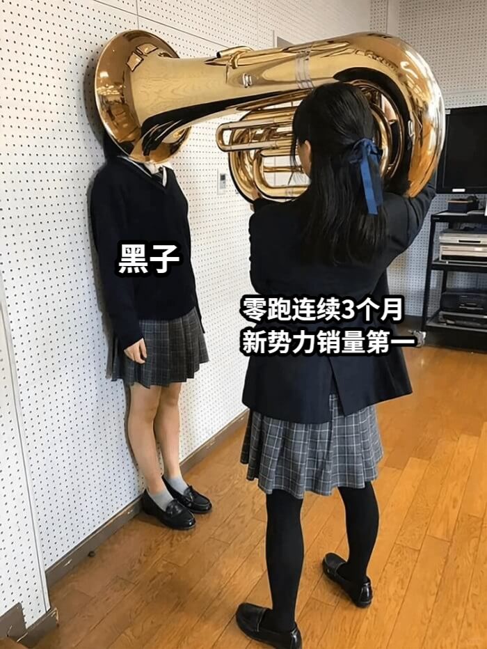 零跑连续3个月新势力销量第一黑子