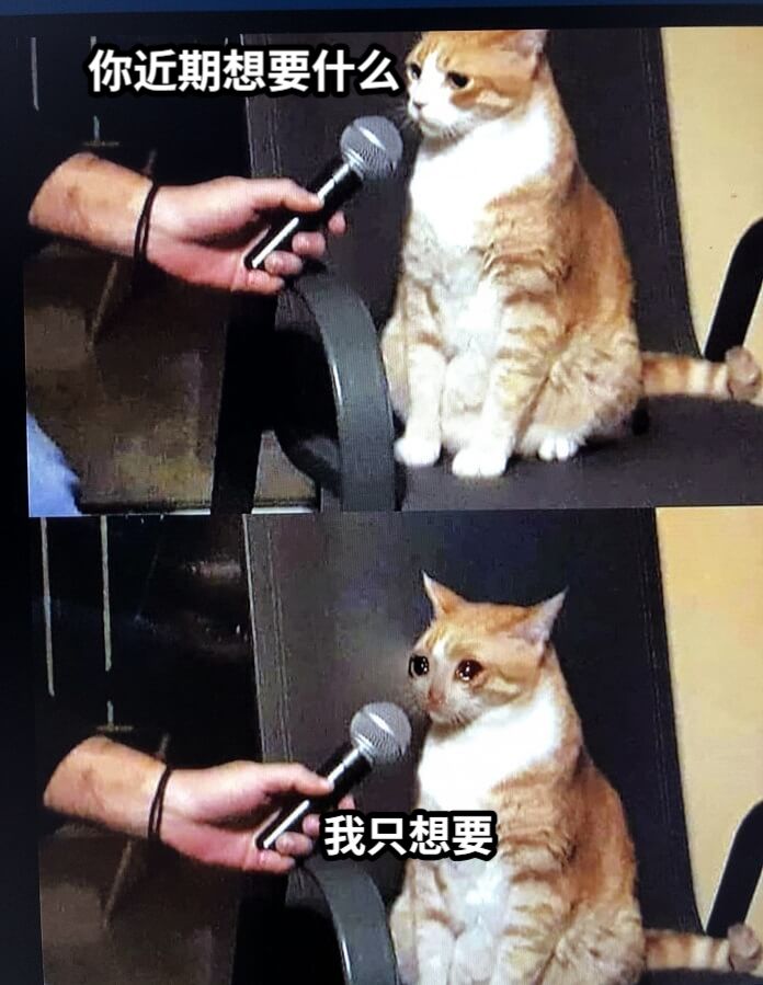 你近期想要什么我只想要