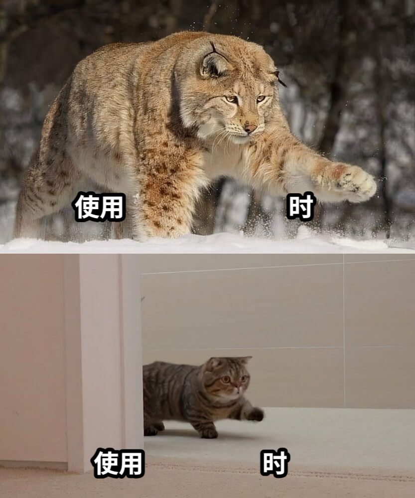 使用                             时使用                     时