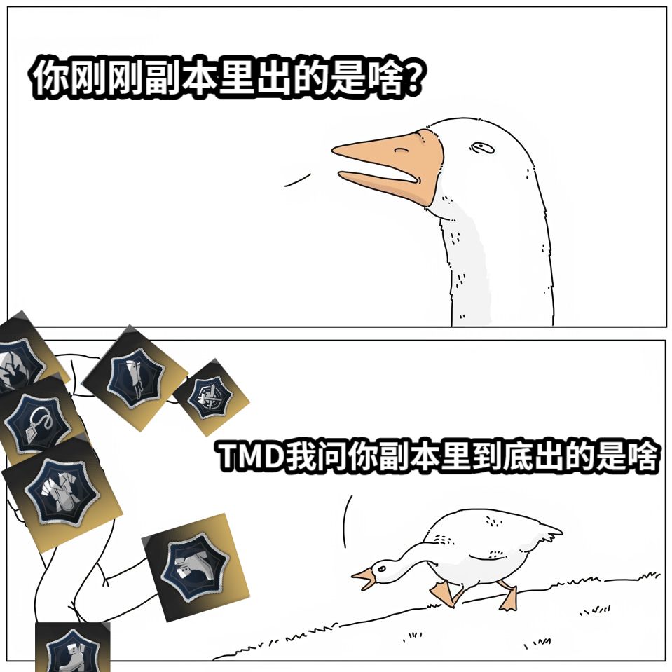 你刚刚副本里出的是啥？TMD我问你副本里到底出的是啥