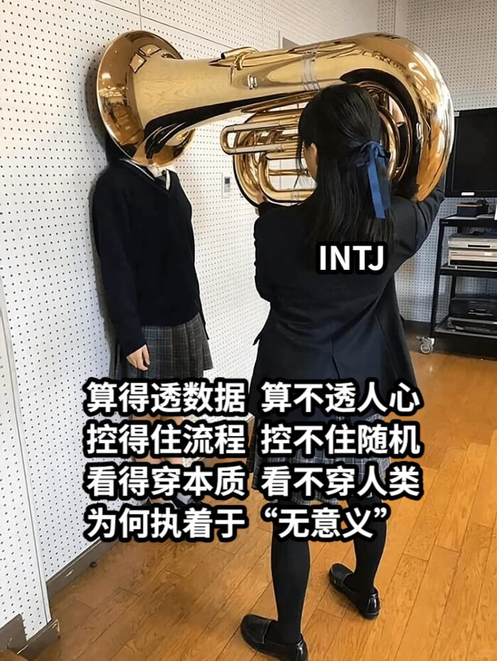 算得透数据  算不透人心 控得住流程  控不住随机看得穿本质  看不穿人类为何执着于“无意义”INTJ