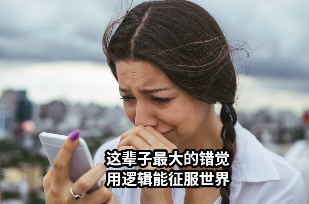 这辈子最大的错觉  用逻辑能征服世界