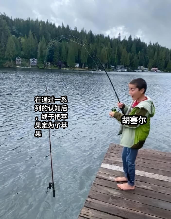 胡塞尔在通过一系列的认知后，终于把苹果定为了苹果