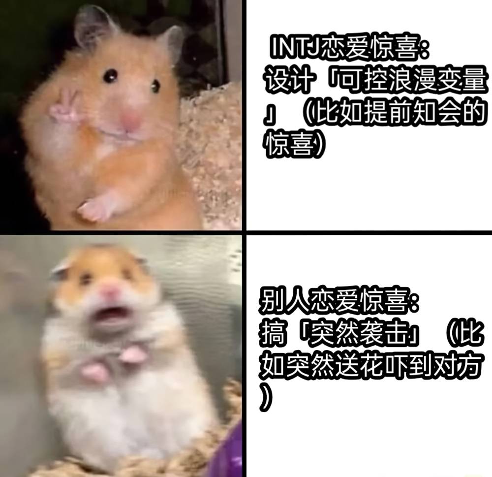  INTJ恋爱惊喜：设计「可控浪漫变量」（比如提前知会的惊喜）别人恋爱惊喜：搞「突然袭击」（比如突然送花吓到对方）