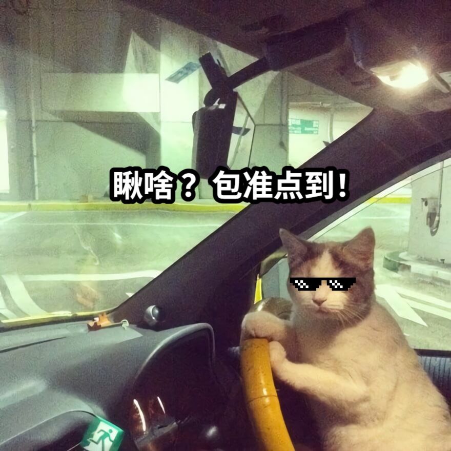 瞅啥 ？包准点到！