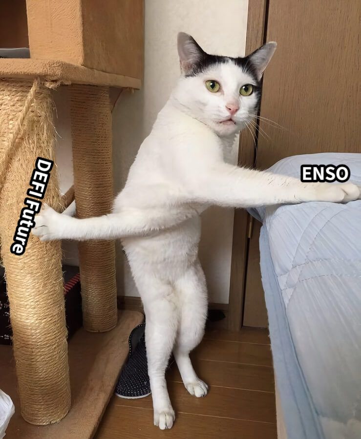 DEFI FutureENSO