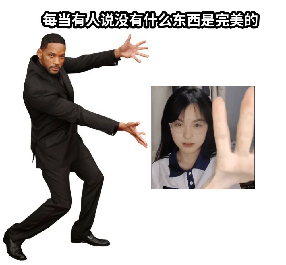 每当有人说没有什么东西是完美的