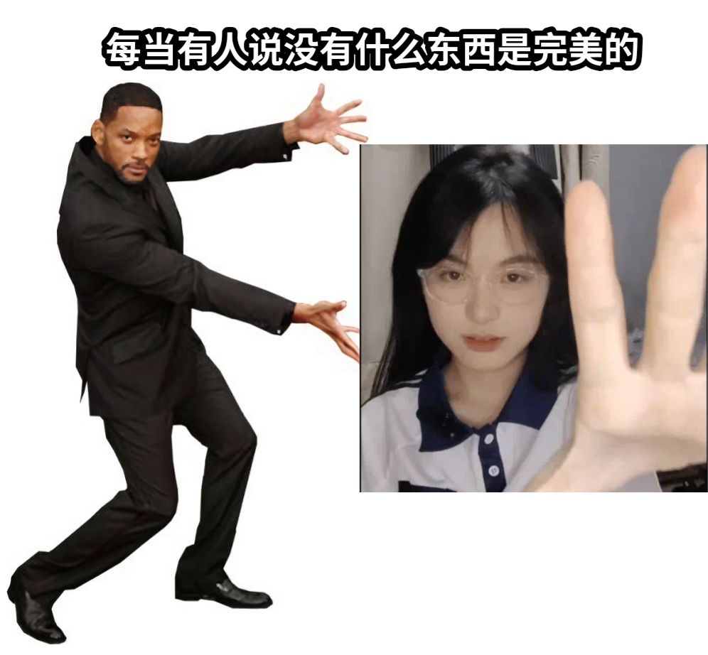 每当有人说没有什么东西是完美的