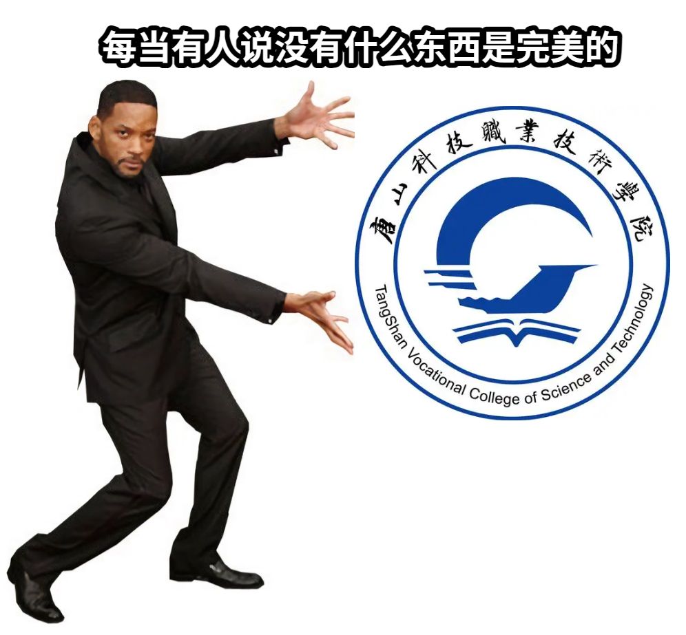 每当有人说没有什么东西是完美的