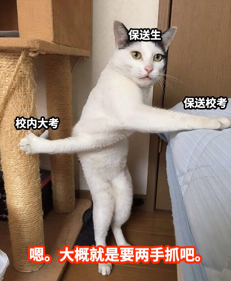 校内大考保送校考保送生嗯。大概就是要两手抓吧。