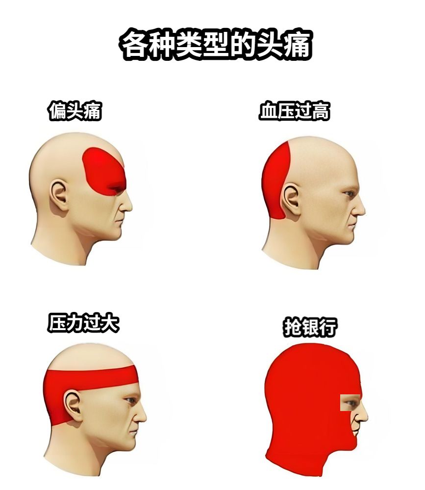 去问人体有