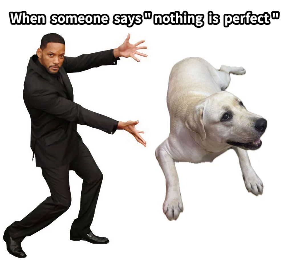 When  someone  says " nothing  is  perfect "