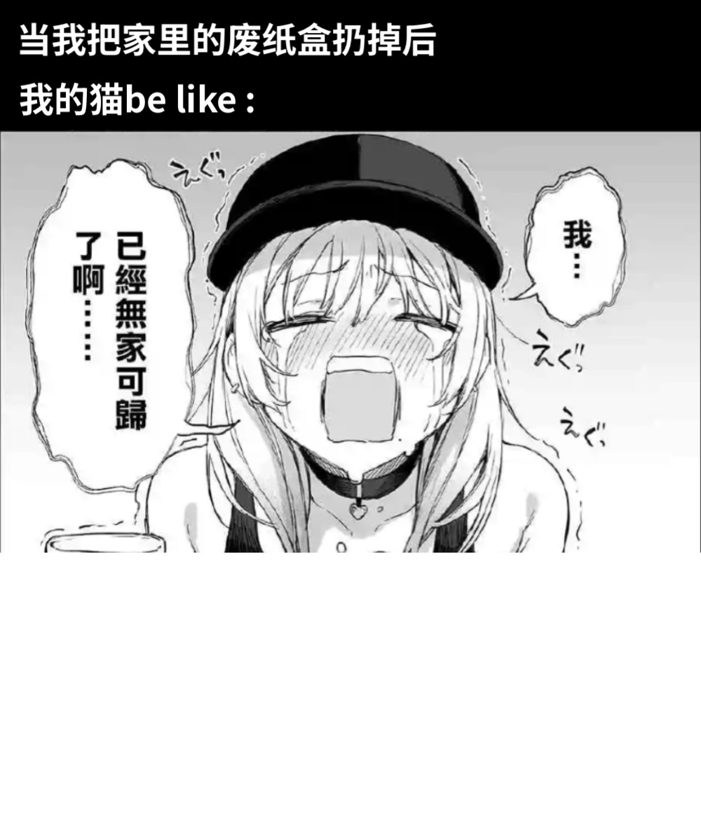 当我把家里的废纸盒扔掉后我的猫be like :