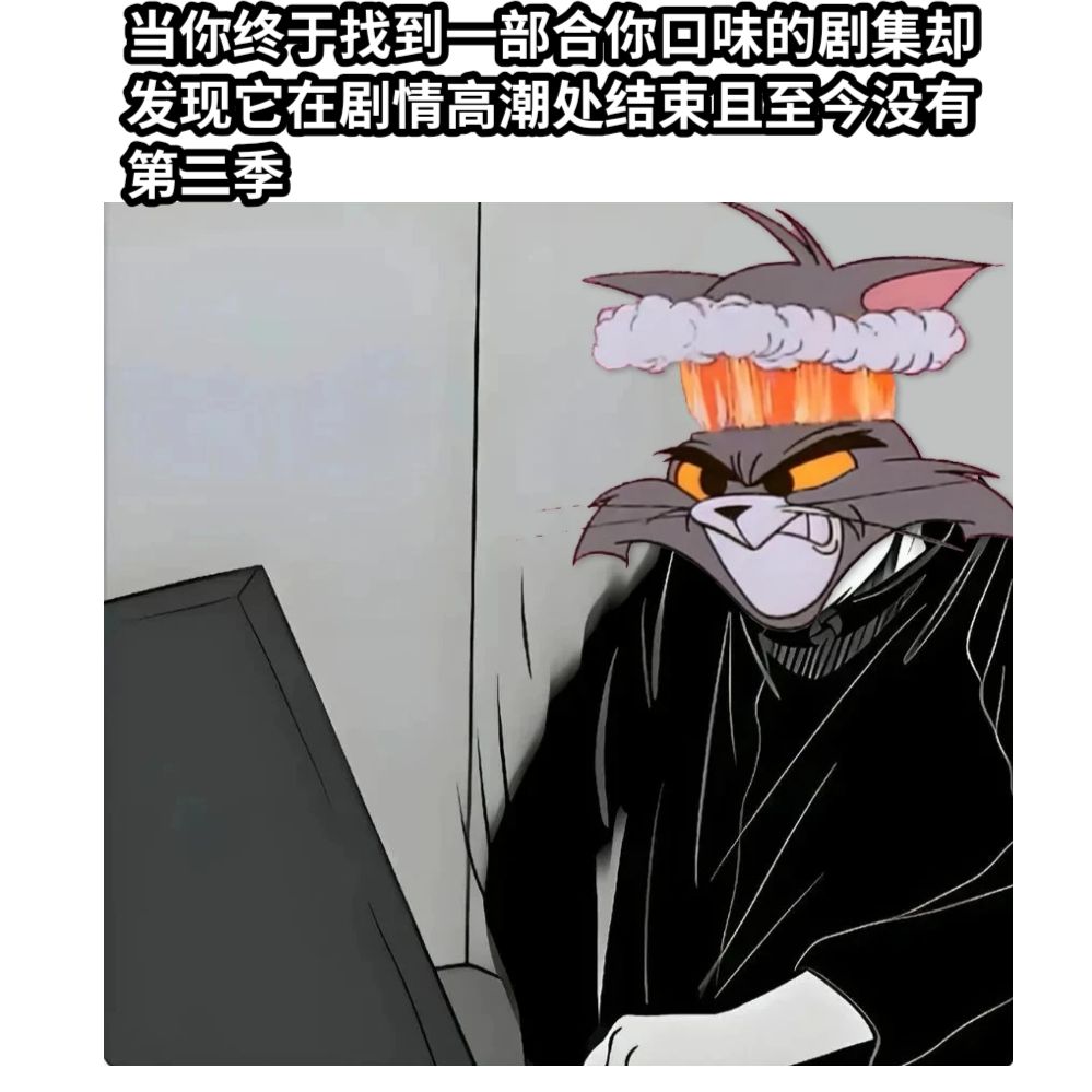 当你终于找到一部合你口味的剧集却发现它在剧情高潮处结束且至今没有第二季