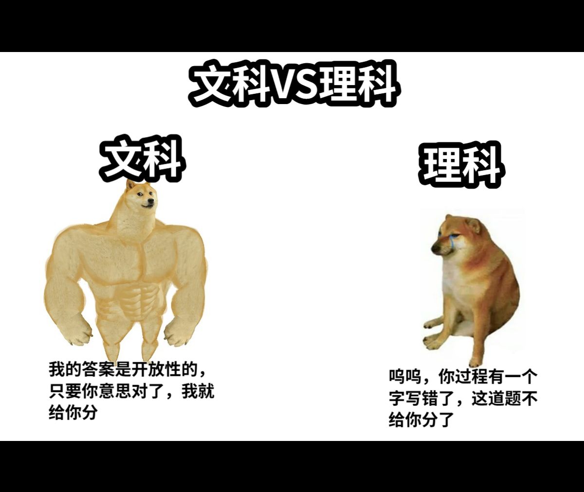 文科VS理科