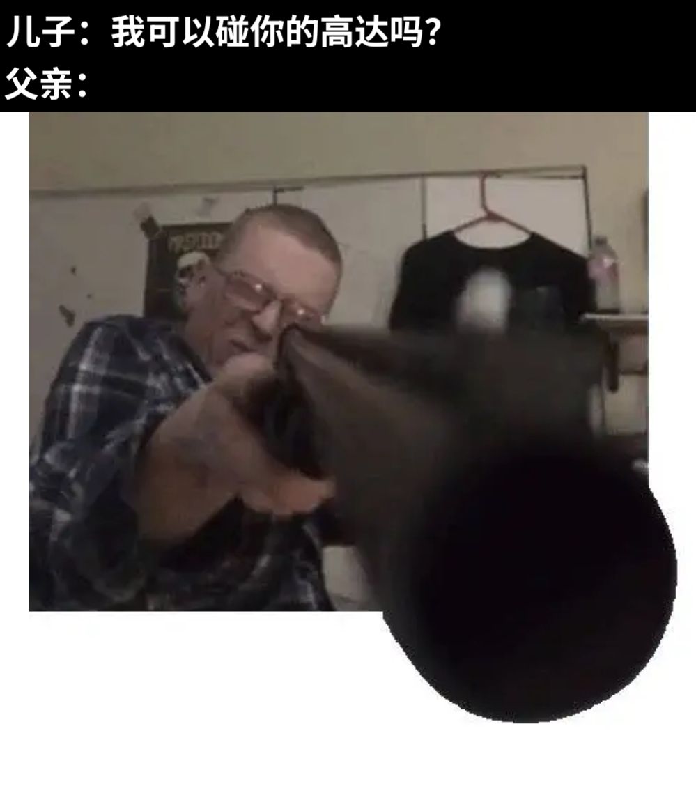 儿子：我可以碰你的高达吗？父亲：