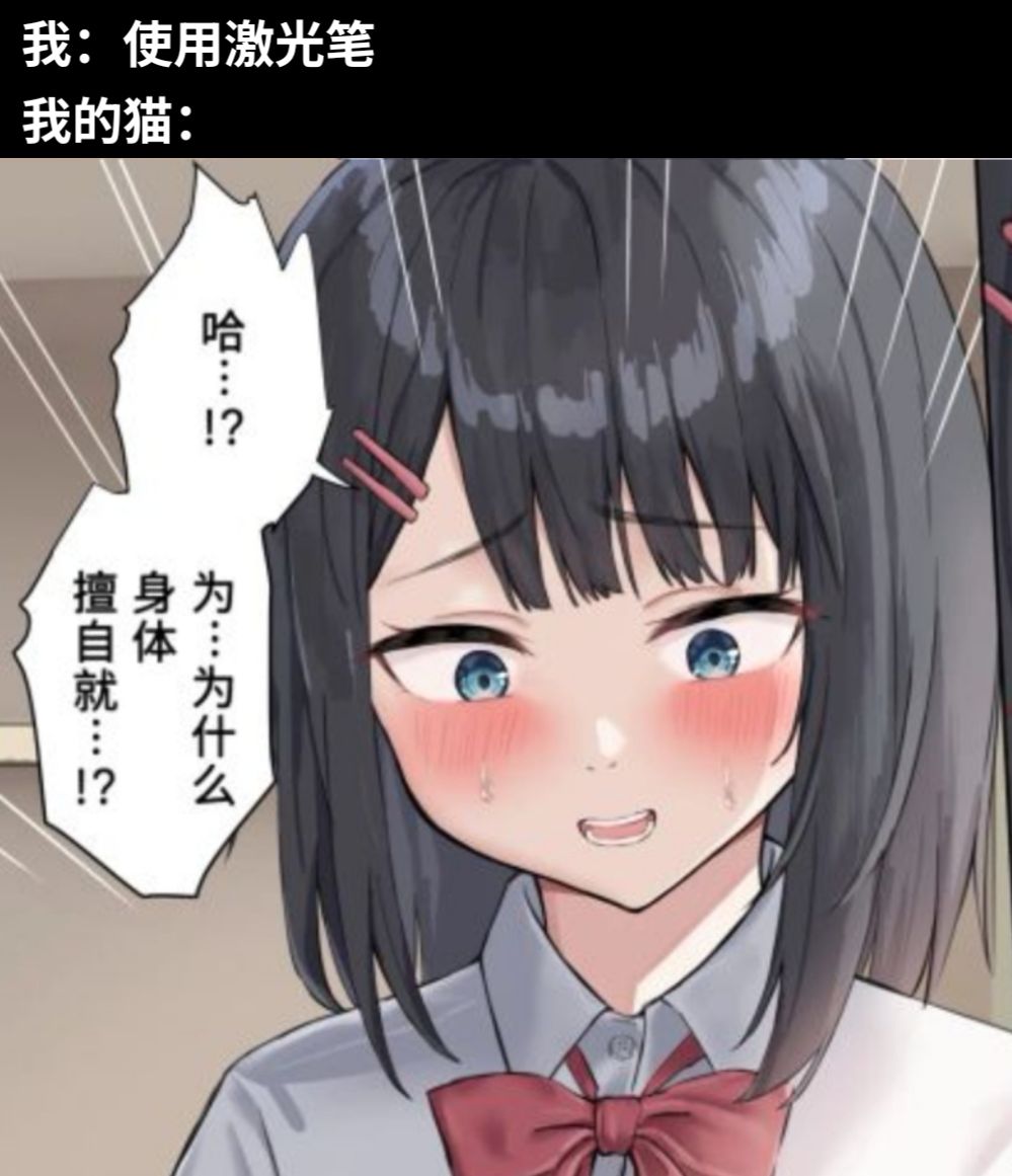我：使用激光笔我的猫：