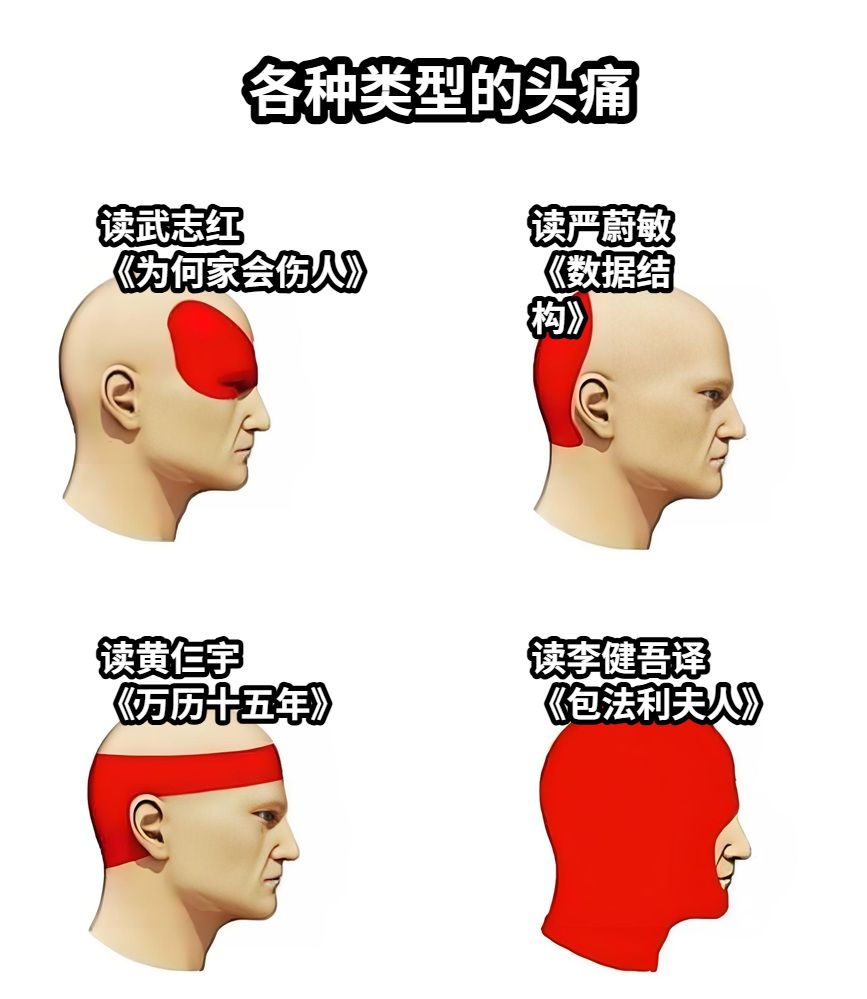 各种类型的头痛读武志红《为何家会伤人》读严蔚敏《数据结构》读黄仁宇《万历十五年》读李健吾译《包法利夫人》