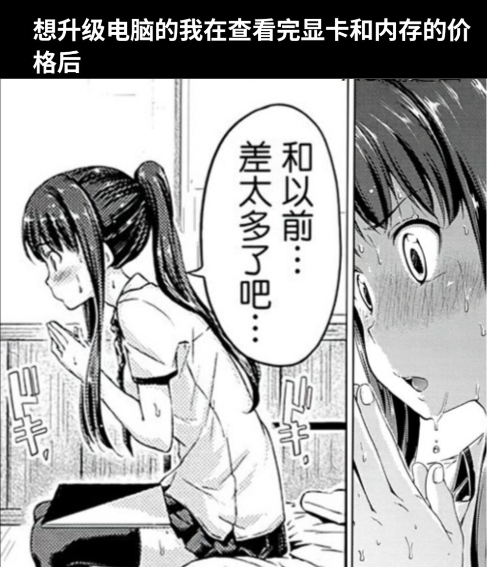 想升级电脑的我在查看完显卡和内存的价格后