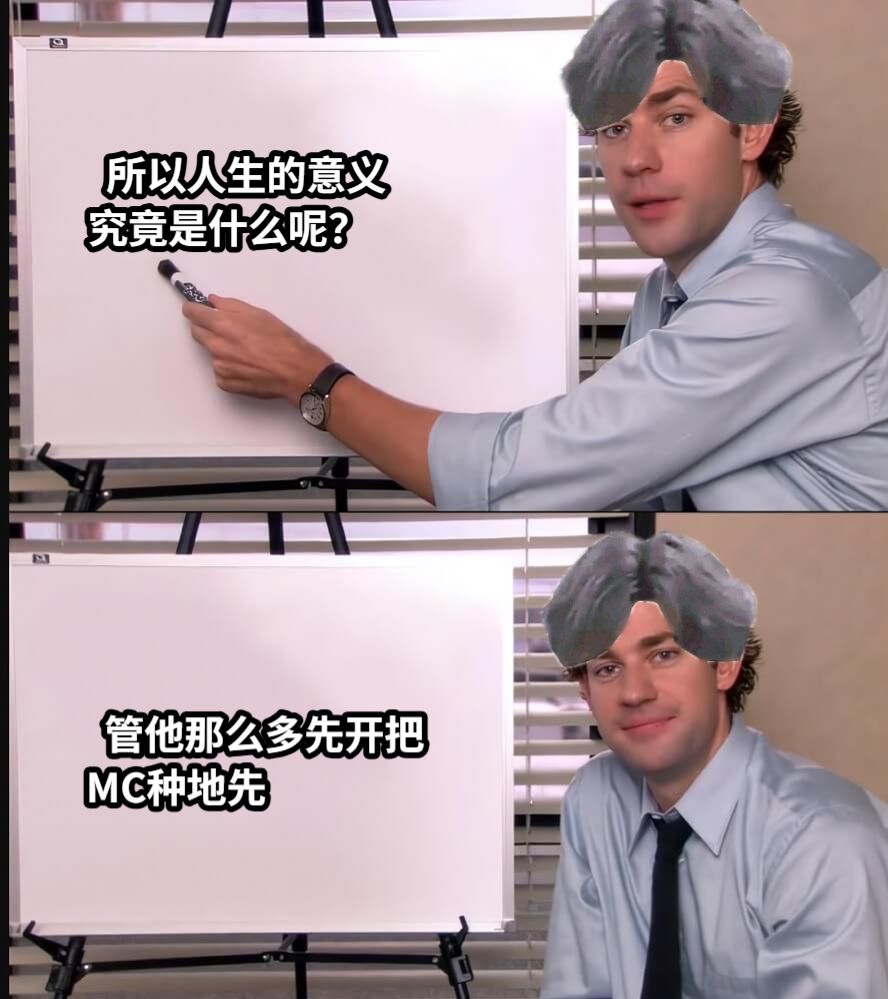 MC梗图系列